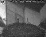 Capi_Dubne_20250324_185002.jpg