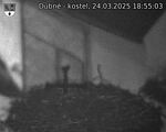 Capi_Dubne_20250324_185503.jpg