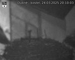 Capi_Dubne_20250324_201003.jpg