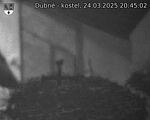 Capi_Dubne_20250324_204502.jpg