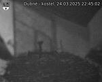 Capi_Dubne_20250324_224502.jpg