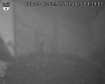 Capi_Dubne_20250325_033002.jpg