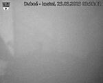 Capi_Dubne_20250325_033502.jpg