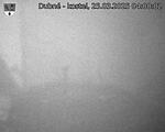 Capi_Dubne_20250325_040002.jpg