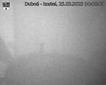 Capi_Dubne_20250325_040503.jpg