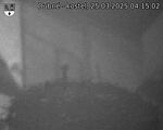 Capi_Dubne_20250325_041502.jpg