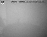 Capi_Dubne_20250325_043502.jpg