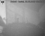 Capi_Dubne_20250325_051502.jpg