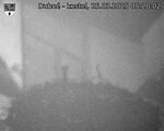 Capi_Dubne_20250325_052002.jpg