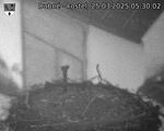 Capi_Dubne_20250325_053002.jpg