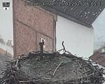 Capi_Dubne_20250325_060503.jpg