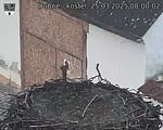 Capi_Dubne_20250325_080002.jpg