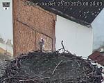 Capi_Dubne_20250325_082003.jpg