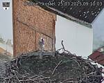 Capi_Dubne_20250325_091003.jpg