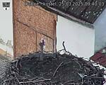 Capi_Dubne_20250325_094003.jpg