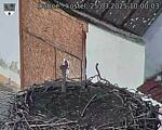 Capi_Dubne_20250325_100003.jpg