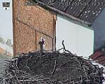 Capi_Dubne_20250325_111003.jpg