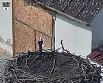 Capi_Dubne_20250325_122003.jpg