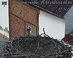 Capi_Dubne_20250325_124003.jpg