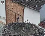 Capi_Dubne_20250325_131003.jpg