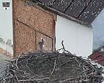 Capi_Dubne_20250325_131503.jpg