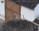 Capi_Dubne_20250325_132503.jpg