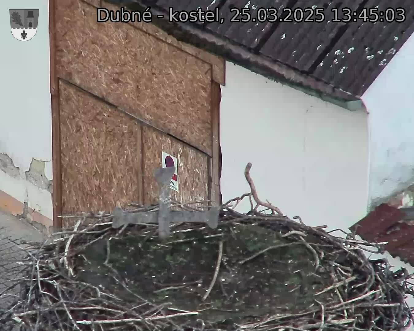 Capi_Dubne_20250325_134503.jpg (1350 x 1080)