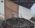 Capi_Dubne_20250325_135002.jpg