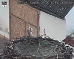 Capi_Dubne_20250325_135503.jpg