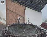 Capi_Dubne_20250325_140003.jpg