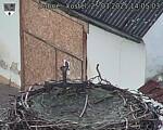 Capi_Dubne_20250325_140503.jpg