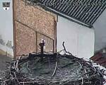 Capi_Dubne_20250325_142002.jpg