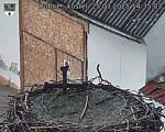 Capi_Dubne_20250325_143503.jpg