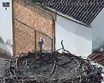 Capi_Dubne_20250325_144503.jpg