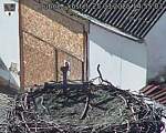 Capi_Dubne_20250325_145503.jpg
