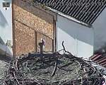 Capi_Dubne_20250325_150503.jpg