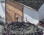 Capi_Dubne_20250325_152002.jpg