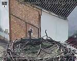 Capi_Dubne_20250325_155003.jpg