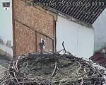Capi_Dubne_20250325_160003.jpg