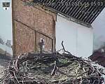 Capi_Dubne_20250325_160503.jpg