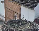 Capi_Dubne_20250325_161503.jpg