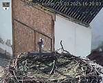 Capi_Dubne_20250325_162003.jpg