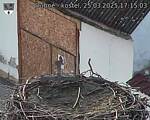 Capi_Dubne_20250325_171503.jpg