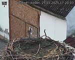 Capi_Dubne_20250325_172003.jpg