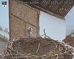 Capi_Dubne_20250325_175003.jpg