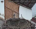 Capi_Dubne_20250325_175503.jpg
