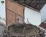 Capi_Dubne_20250325_180503.jpg
