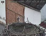 Capi_Dubne_20250325_181503.jpg