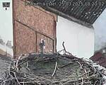 Capi_Dubne_20250325_182002.jpg
