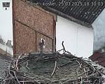 Capi_Dubne_20250325_183003.jpg
